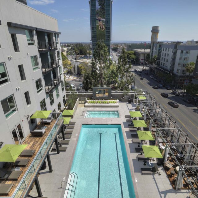 Dog-Friendly Luxury Apartments in Hollywood, CA - Vinyl Hollywood - Rooftop Swimming Pool With Lap Lanes, Lounge Chairs, Green Umbrellas, Sun Deck Seating, And Surrounding City Views.