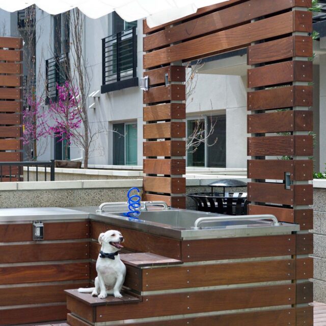 28-The-Camden-apartments-Hollwood-CA-The-Dog-Den-private-dog-park-pet-friendly.jpg