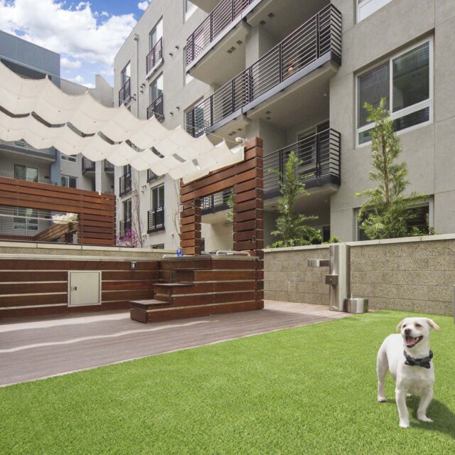 29-The-Camden-apartments-Hollwood-CA-The-Dog-Den-dog-bark-with-pet-washing-station.jpg